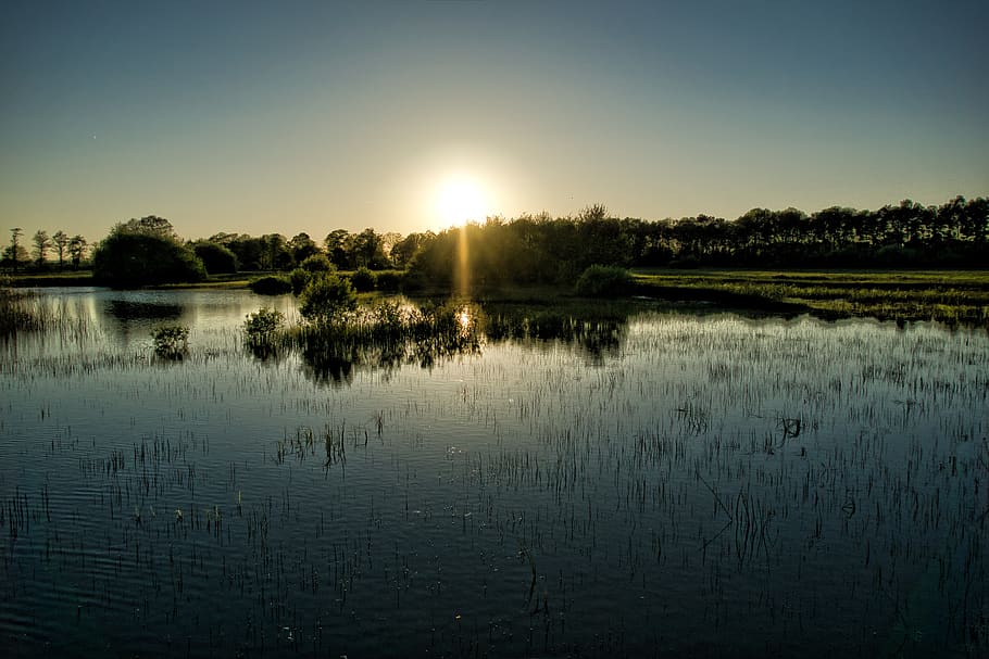 sunset, dutch, nature, water, lake, swamp, sunray, sky, tranquility HD wallpaper