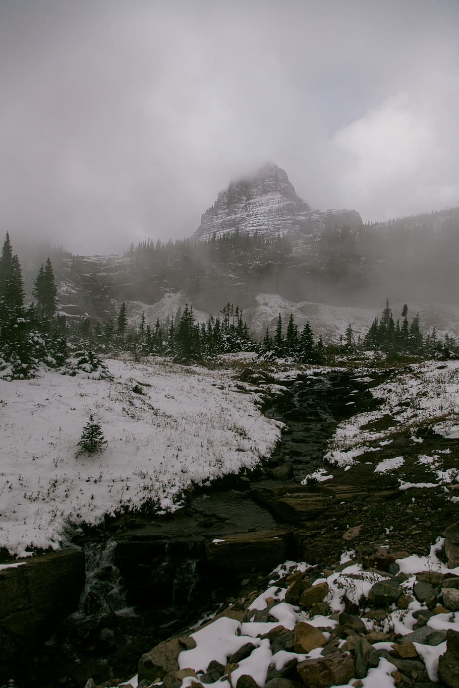 mountain with snowy terrain, sky, tree, forest, woodland, mist HD wallpaper