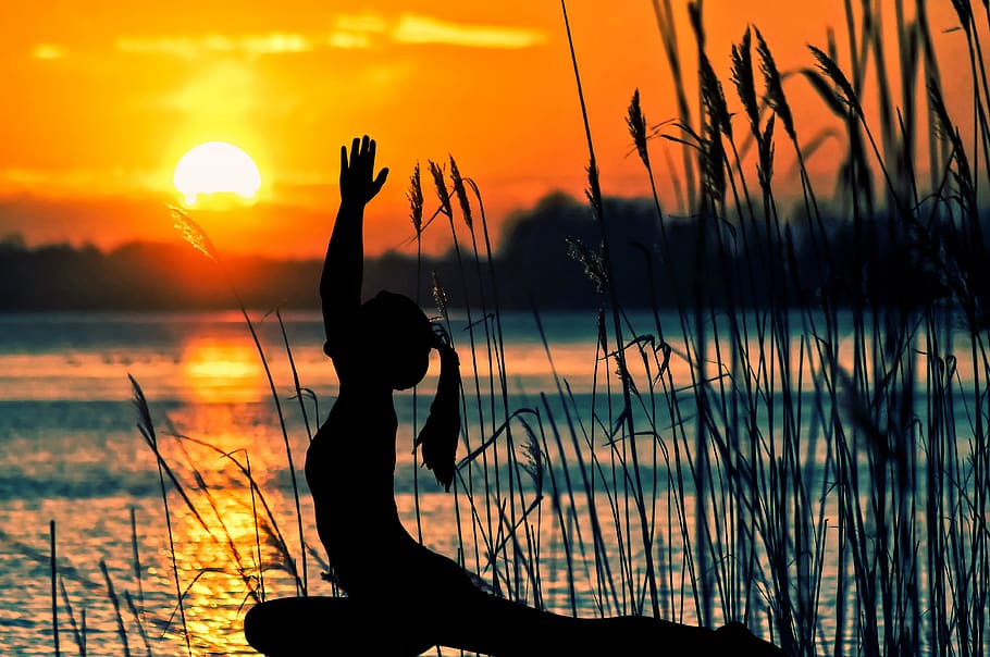 lake, reed, sunset, landscape, mirroring, bank, water, rest HD wallpaper