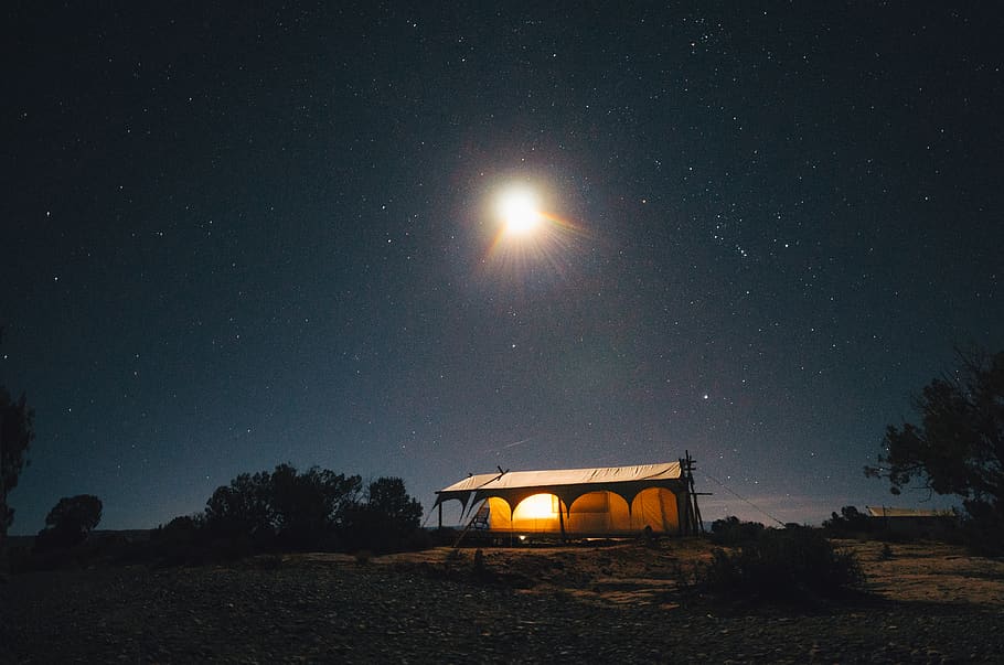 night sky, star, tent, tree, light, star - space, astronomy HD wallpaper