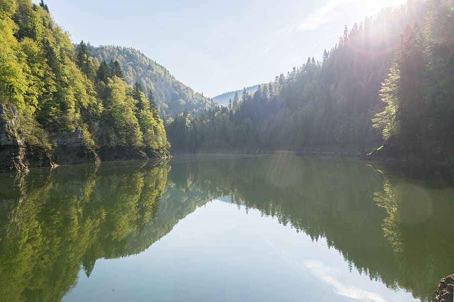 borntobe, hike, calm, sky, forest, tree, switzerland, lake HD wallpaper