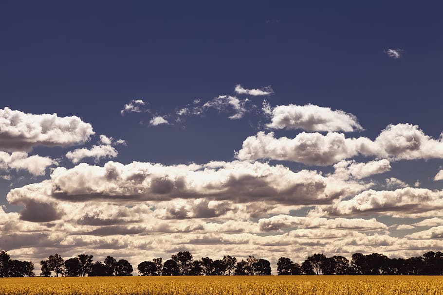 australia, junee, sky, clouds, blue sky, fluffy clouds, horizon HD wallpaper