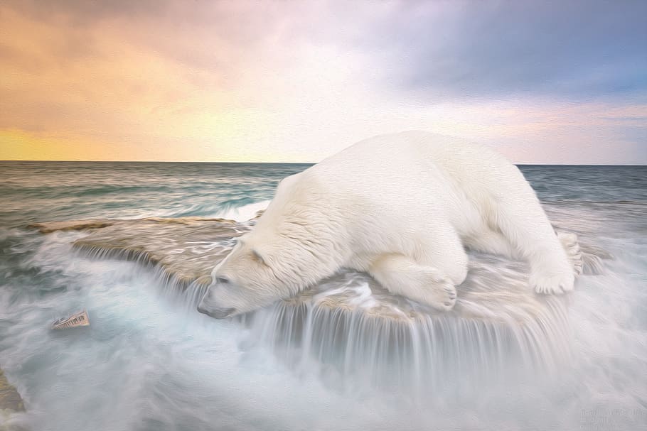 polar bear, ship, waterfall, waters, sea, nature, coast, ocean HD wallpaper