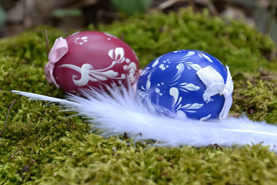 easter, easter eggs, painted, colorful, easter nest, easter theme HD wallpaper