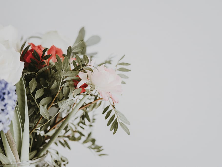green-leafed plants, flowering plant, beauty in nature, copy space HD wallpaper