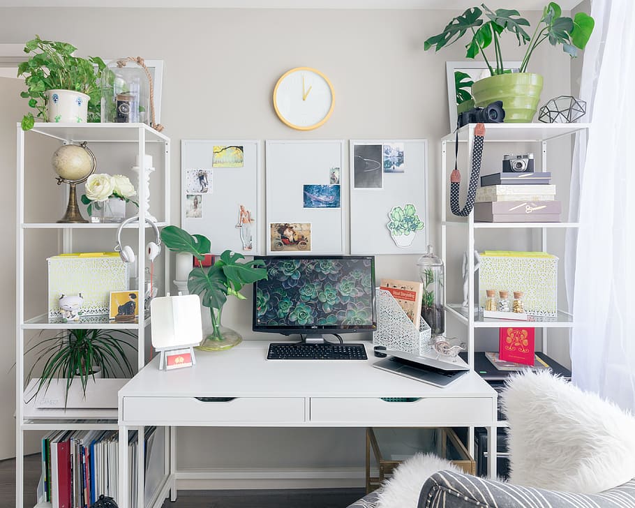turned on flat screen monitor white wooden desk, computer, plant HD wallpaper