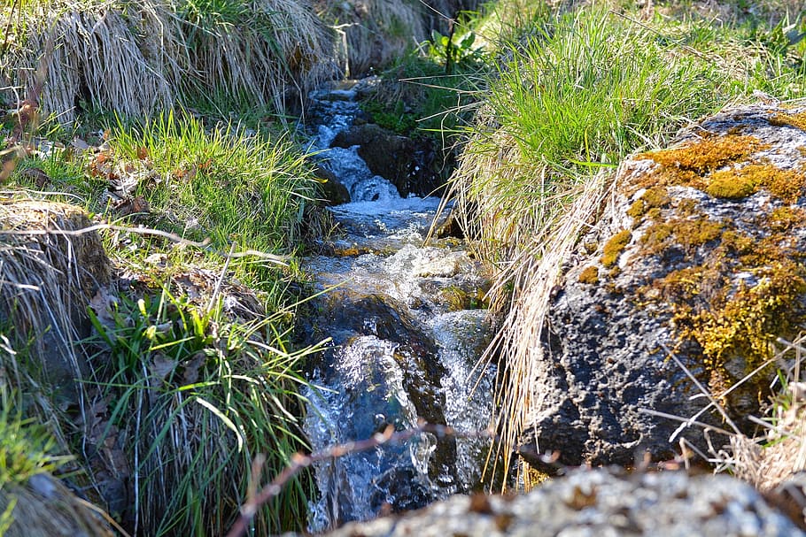stream, running, water, flow, waterfall, wild, nature, plant HD wallpaper
