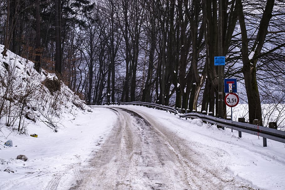 forest, way, winter, snow, road, landscape, tree, nature, travel HD wallpaper