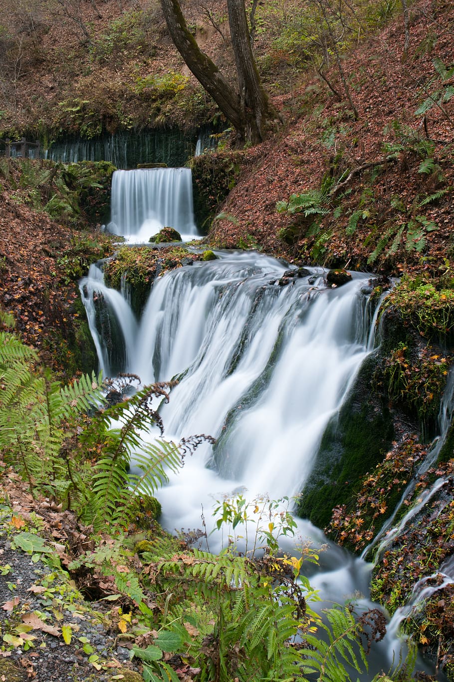 waterfall, river, long exposure, tree, scenics - nature, plant HD wallpaper