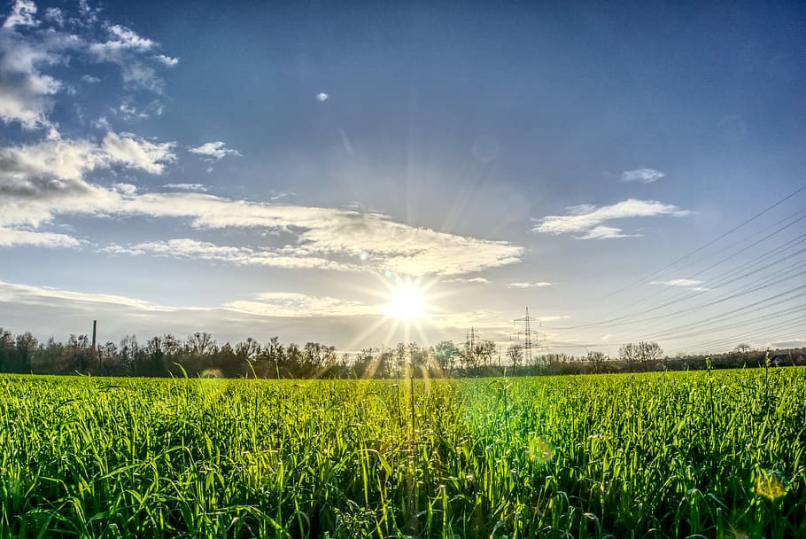 sun, backlighting, dazzling star, sky, clouds, blue, green HD wallpaper