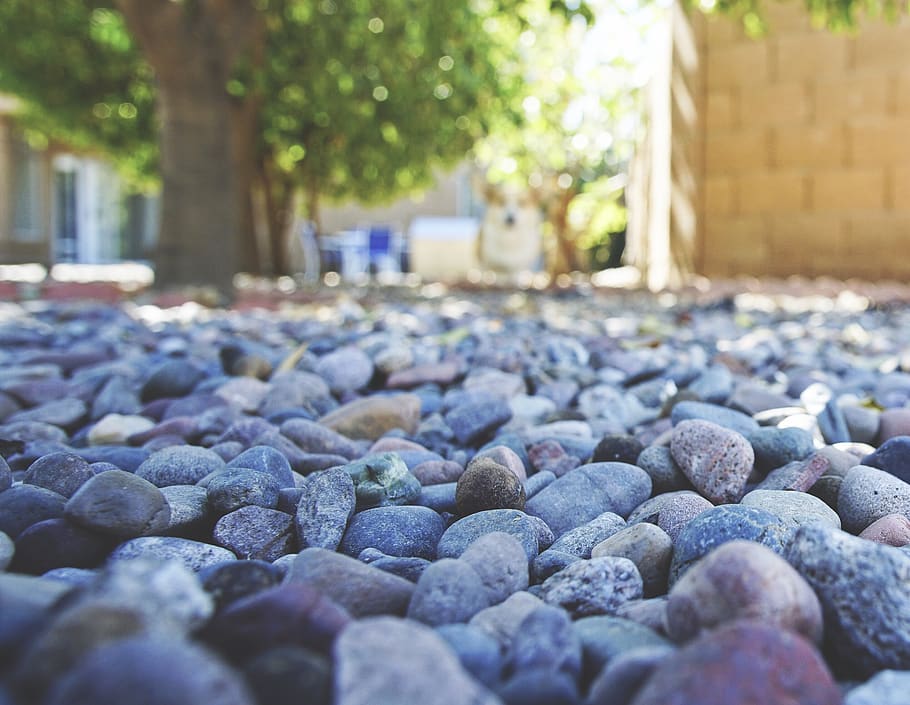 rock, pebble, solid, stone - object, day, selective focus, nature HD wallpaper