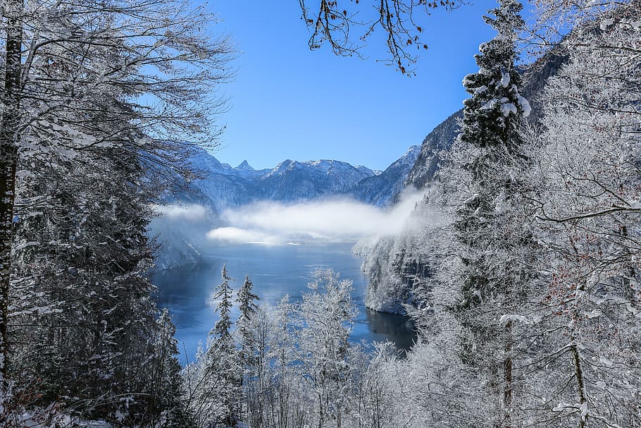 Photography of Mountain Range During Winter, branches, cold, environment HD wallpaper