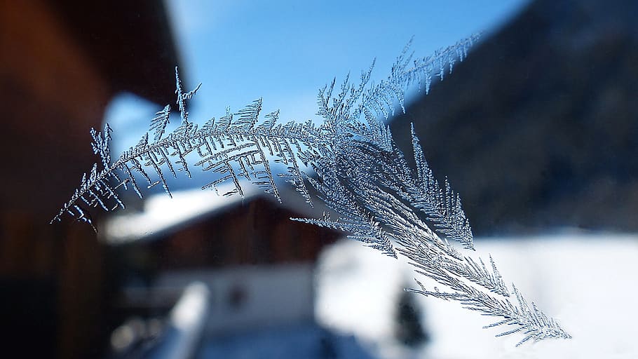 frost, crystal, ice, pen, glass, winter, cold, snow, nature HD wallpaper