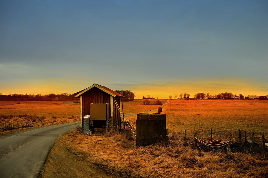 sweden, trees, forest, sunset, field, landscape, outside, outdoor HD wallpaper