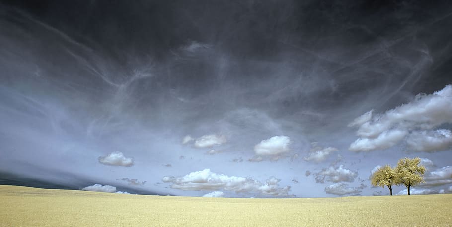 clouds, field, grass, landscape, nature, outdoors, scenic, sky HD wallpaper