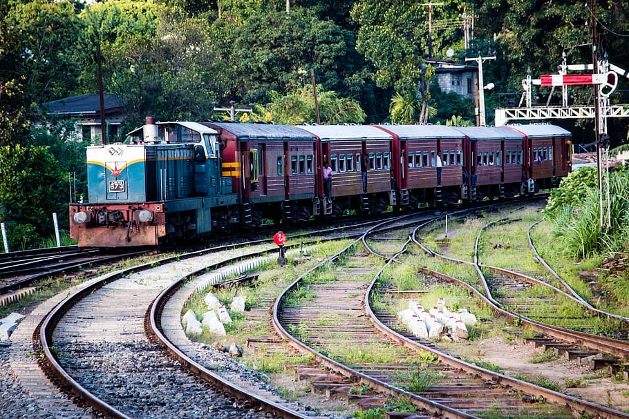 sri lanka, kandy, peradeniya railway station, railroad tracks