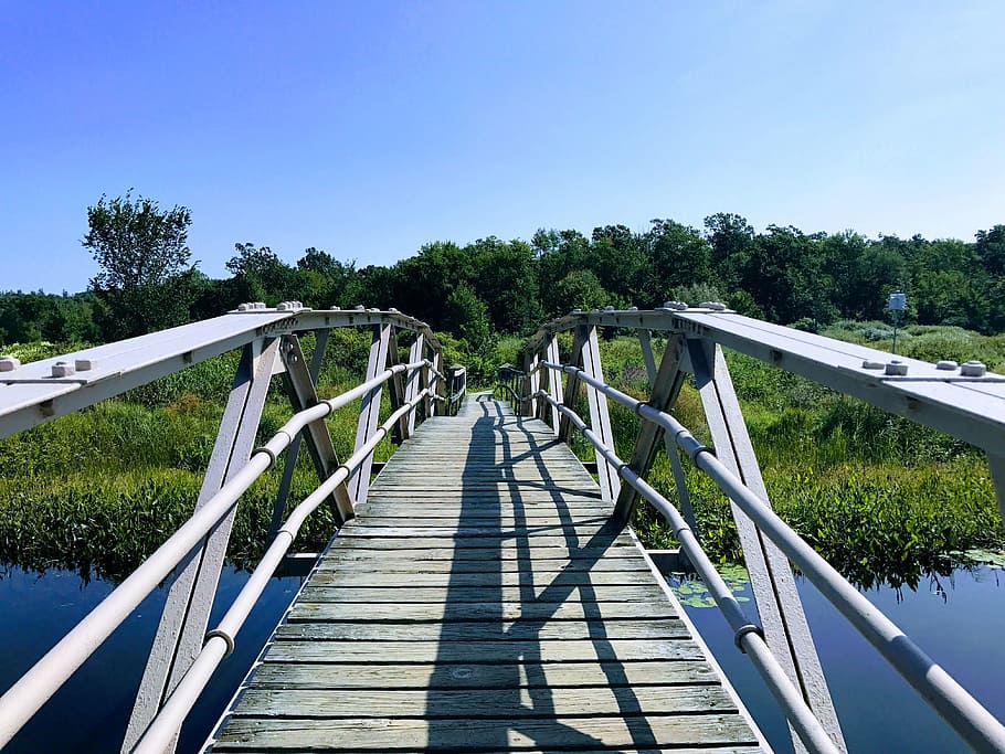White and Gray Bridge Near Green Leafed Trees, architecture, boardwalk HD wallpaper