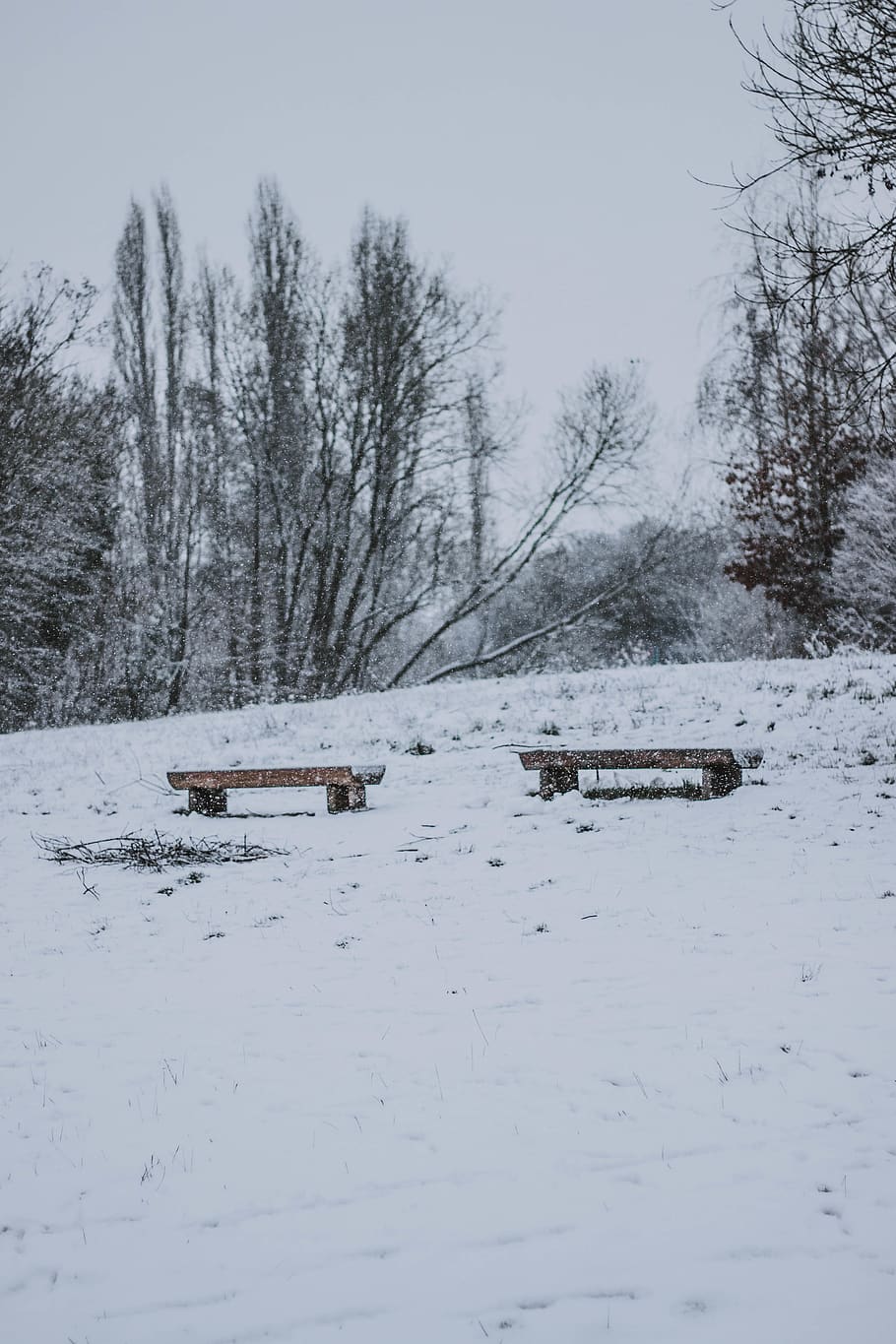green trees covered by snow, nature, outdoors, furniture, winter HD wallpaper