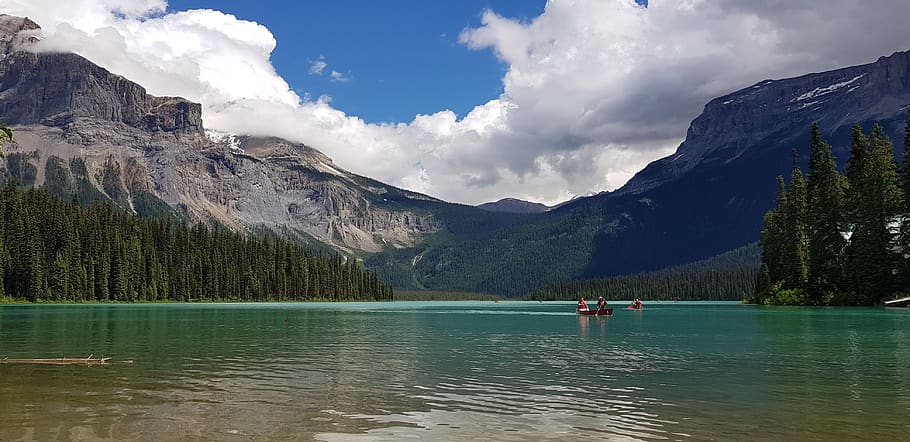 canada, field, emerald lake trail, british columbia, mountains, HD wallpaper