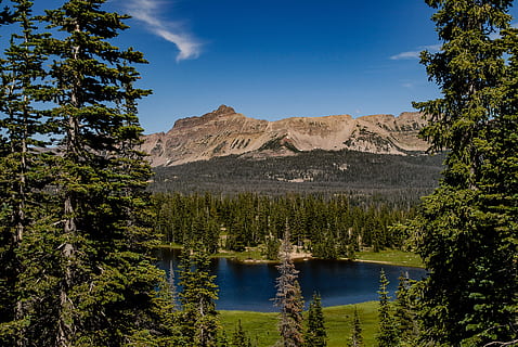 uinta, mountains, utah, tree, plant, water, nature, scenics - nature HD wallpaper