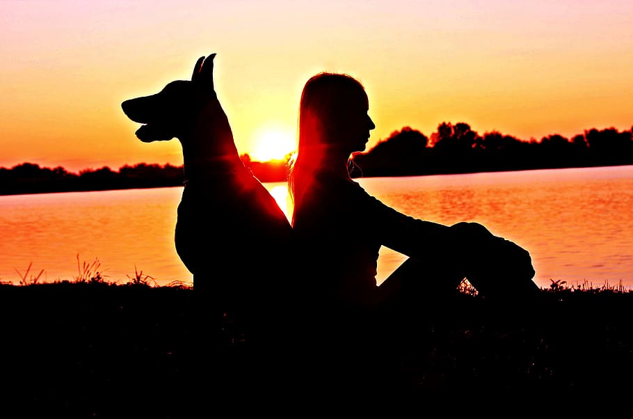 Silhouette of Woman and Doberman Pinscher Sitting Back-to-back during Sunset HD wallpaper