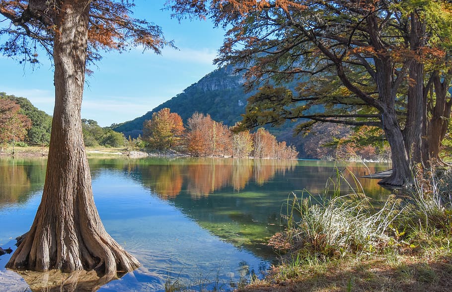 tree, water, river, landscape, sky, waters, reflection, idyllic HD wallpaper