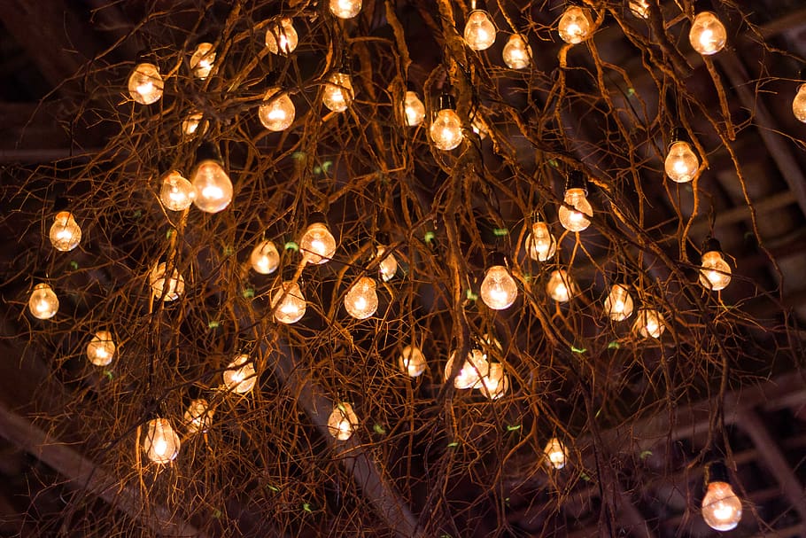 night, tree, light, illuminated, lighting equipment, decoration HD wallpaper