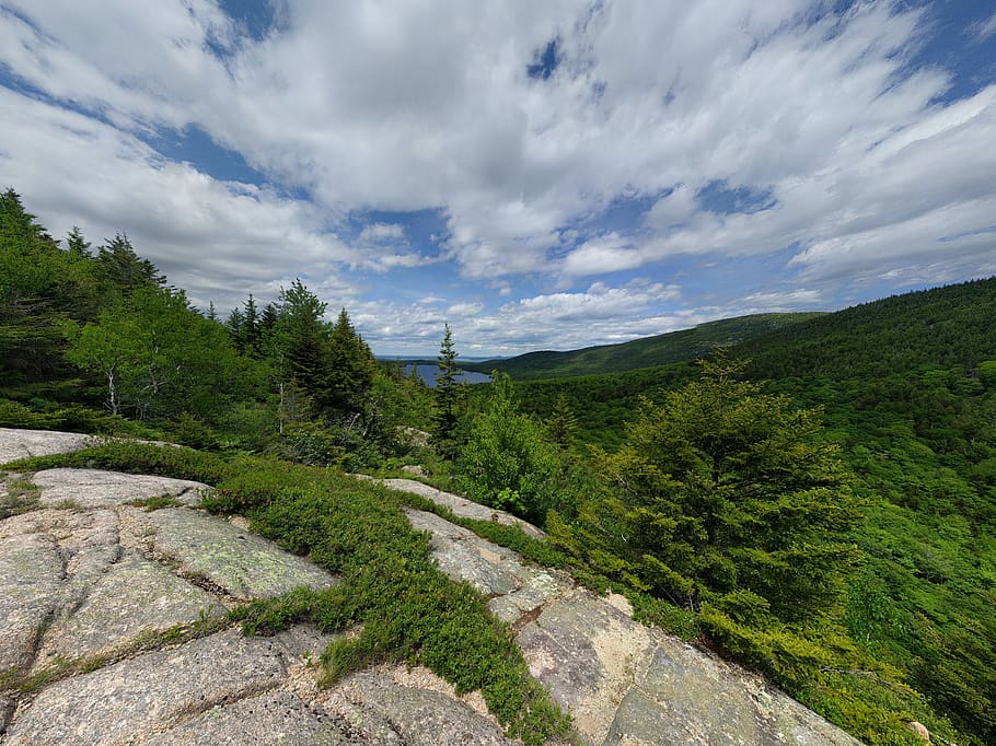 trees, lake, forest, mountain, wideangle, cloud - sky, plant HD wallpaper