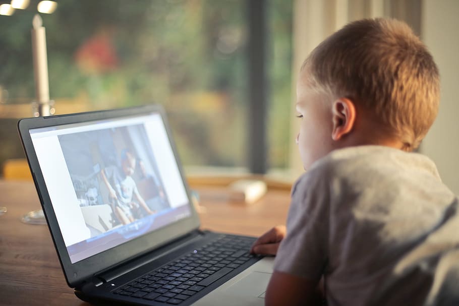 A young caucasian child watching movie on laptop in the living room, HD wallpaper