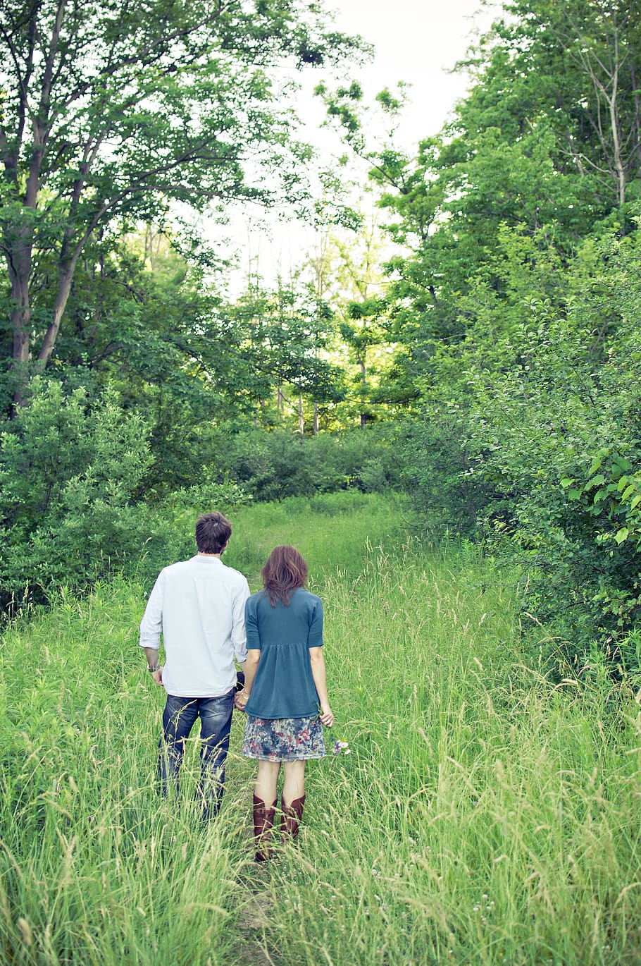 canada, london, forest, tree, woman, couple, field, plant, two people