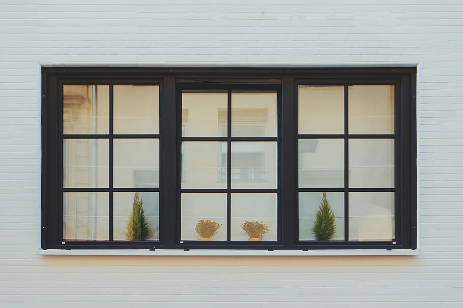 glass windopw, picture window, cologne, grey, plant, tree, door HD wallpaper