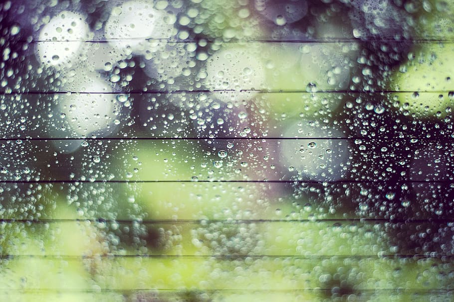 rain, forest, green, window, drop, bokeh, line, abstract, wet HD wallpaper
