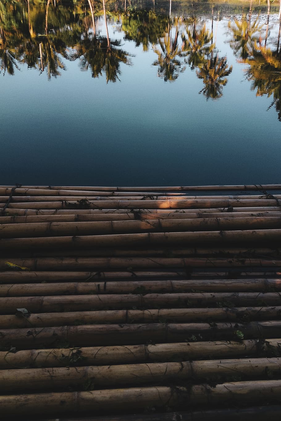 indonesia, lakeside, reflection, tree, water, wood - material HD wallpaper