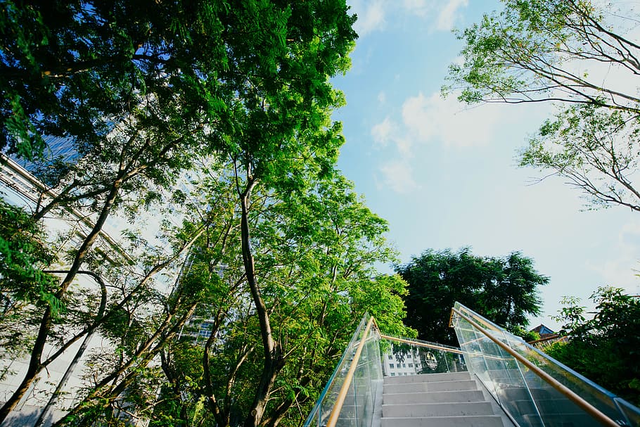 banister, handrail, building, path, bridge, outdoors, railing HD wallpaper
