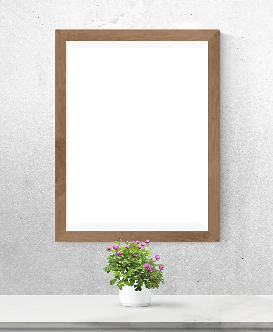 poster, frame, plant, desk, flowering plant, copy space, indoors HD wallpaper