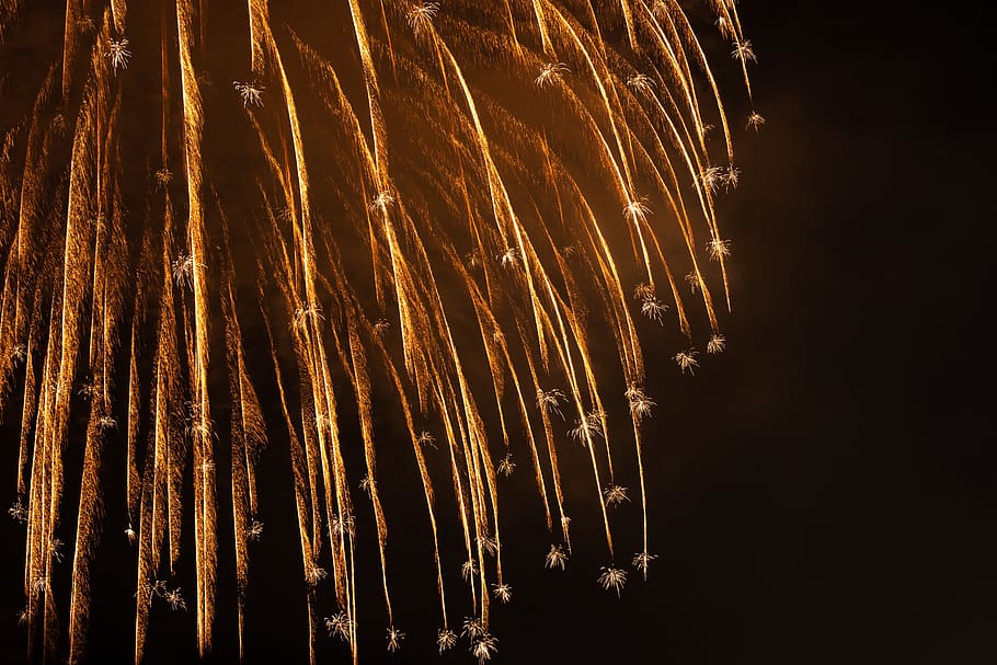 fireworks display, nature, outdoors, night, vegetation, tree HD wallpaper