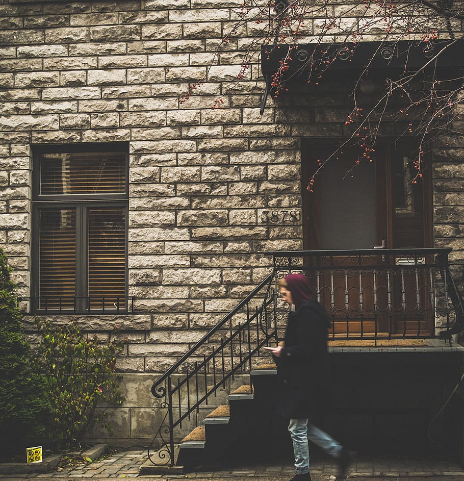 hoodie, house, tree, bricks, neighbourhood, entrance, architecture HD wallpaper