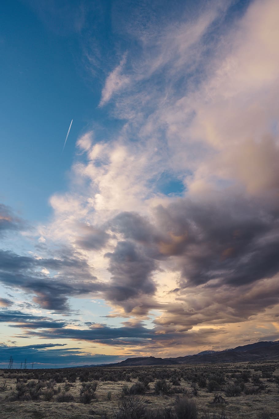White Clouds, bushes, cloudscape, dawn, daylight, dusk, evening HD wallpaper