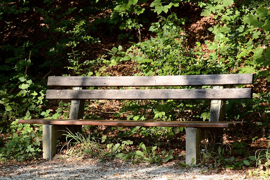 Brown Wooden Outdoor Bench during Day Time, empty, seat, wood - material HD wallpaper