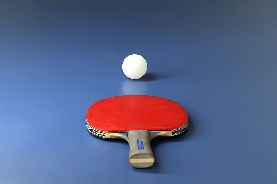 table tennis, sport, games, ball, play, racket, activities