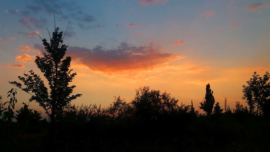 sky, colorful, sunset, trees, abendstimmung, landscape, clouds HD wallpaper