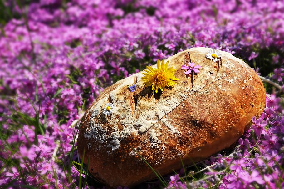 bread, home, sourdough, baking, fresh, food, flowers, rural HD wallpaper