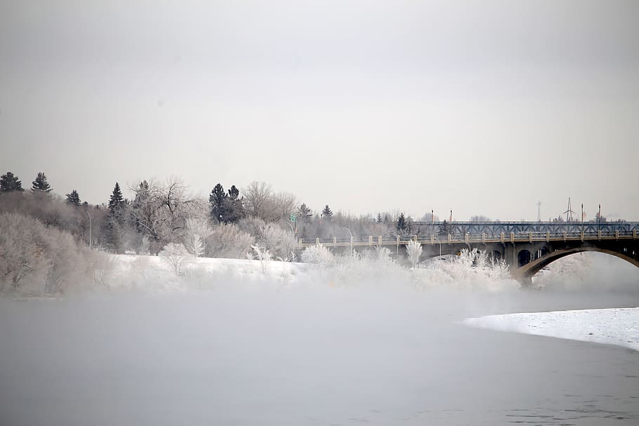 river saskatchewa, bridge, water, bridge - man made structure HD wallpaper