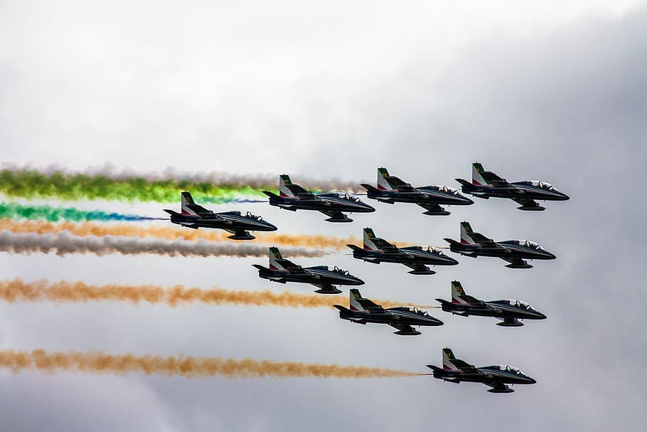 black jetpanes under white clouds, flying, vertebrate, animal HD wallpaper