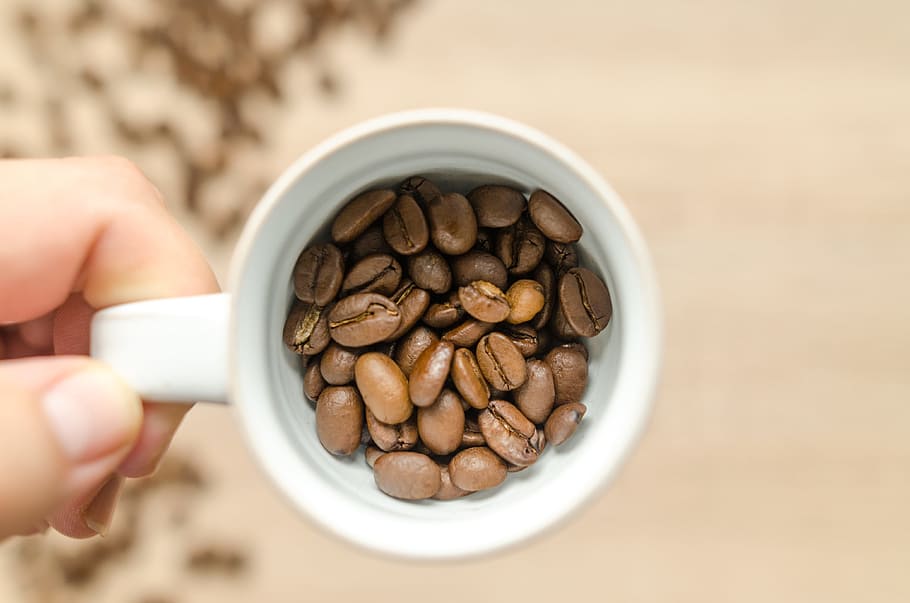 Person Holding White Mug With Coffee Beans, aroma, aromatic, brown HD wallpaper