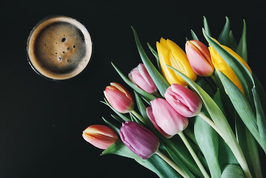 beer, flowers, tulips, spring, pastels, pink, yellow, ale, bitter HD wallpaper