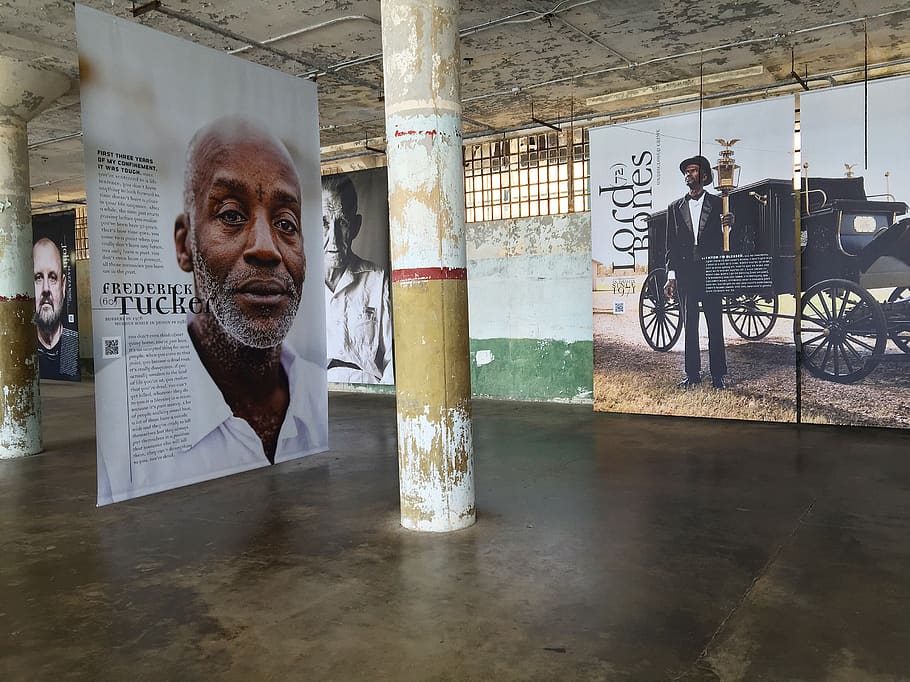 san francisco, united states, alcatraz island, jail, art, exhibition