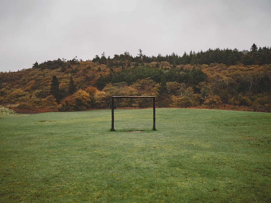 green grass field, plant, ireland, outdoors, building, grassland HD wallpaper