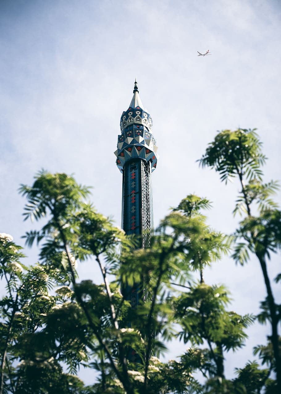 architecture, spire, steeple, building, tower, plant, animal HD wallpaper