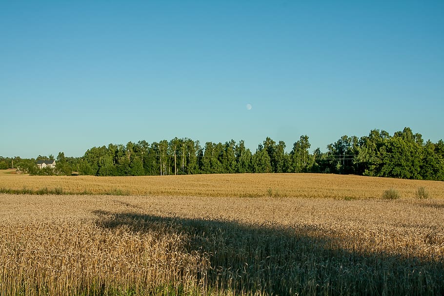 landscape, yields, sky, nature, field, village, clouds, rest HD wallpaper